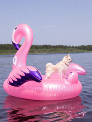 Similar image 21787621