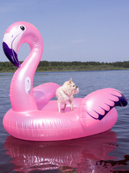 Similar image 21787623