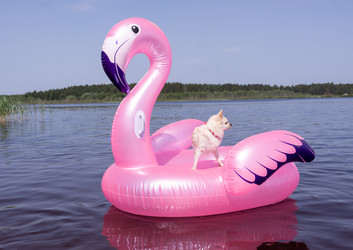 Similar image 21787624