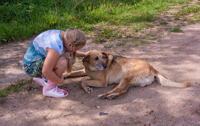 Similar image 21787667