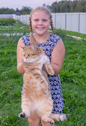 Similar image 21787674