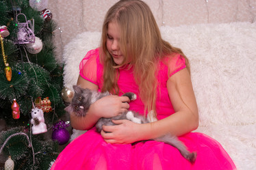 Similar image 21787704