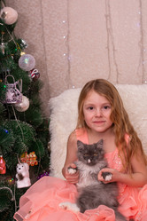 Similar image 21787708