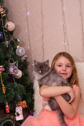 Similar image 21787710