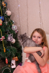 Similar image 21787711