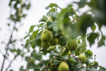 Similar image 21787734