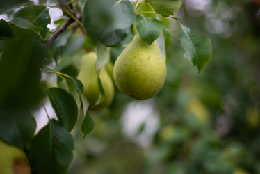 Similar image 21787736