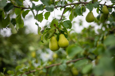 Similar image 21787737