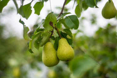 Similar image 21787741