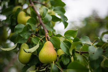 Similar image 21787742