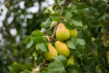 Similar image 21787745