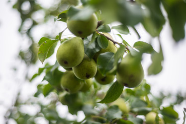 Similar image 21787746