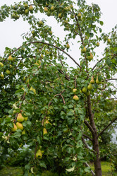 Similar image 21787748