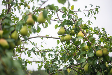 Similar image 21787753