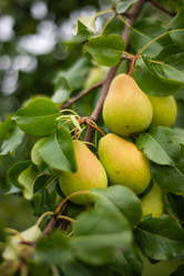 Similar image 21787754