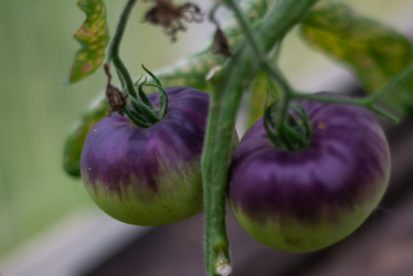 Similar image 21787755