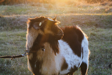 Similar image 21793048