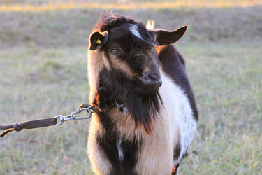 Similar image 21793065