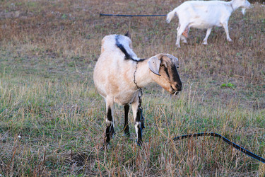 Similar image 21793066