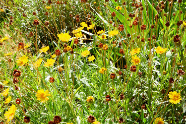 Similar image 21793067