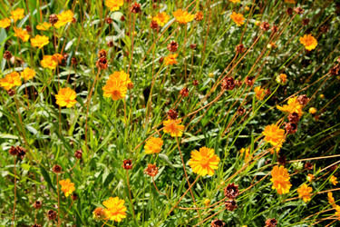 Similar image 21793068