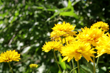 Similar image 21793069