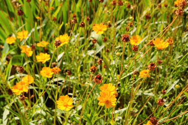 Similar image 21793070