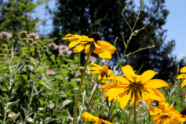 Similar image 21793074