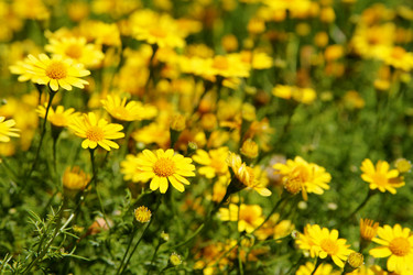 Similar image 21793075