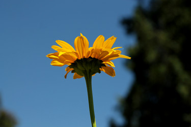 Similar image 21793076