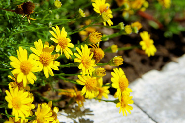 Similar image 21793077