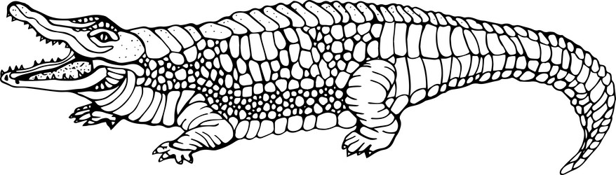 Similar image 21803271