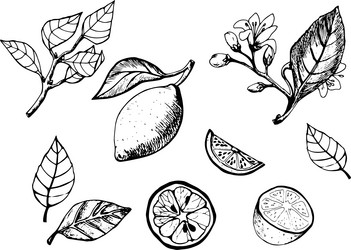 Similar image 21803272