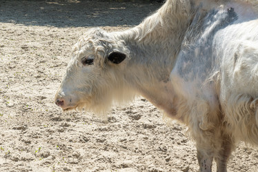 Similar image 21790414