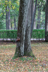 Similar image 21790428