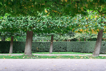 Similar image 21790429