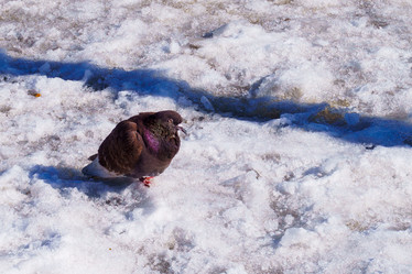 Similar image 21789051