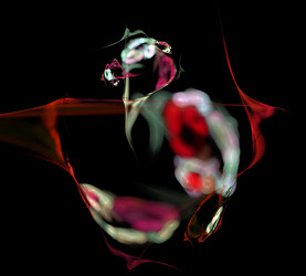 Similar image 21788494