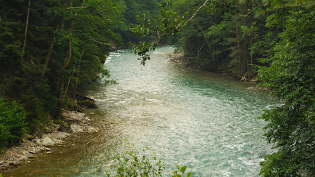 Similar image 21787304