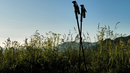 Similar image 21794831