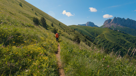 Similar image 21789144