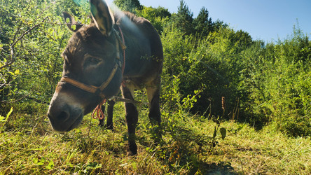 Similar image 21794836