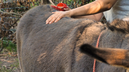 Similar image 21789146