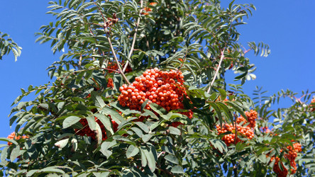 Similar image 21788391