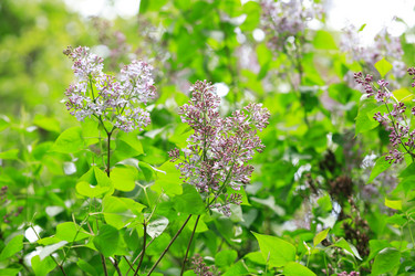 Similar image 21788395