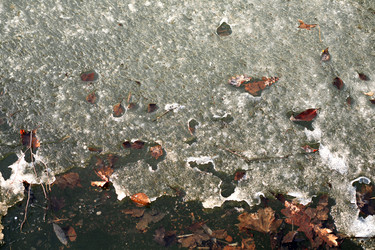 Similar image 21788398