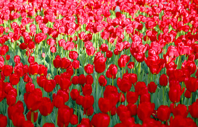 Similar image 21788399