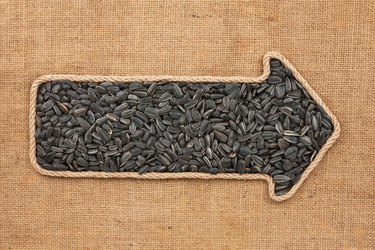 Similar image 21786979