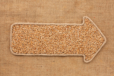 Similar image 21786982