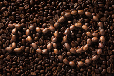 Similar image 21787202